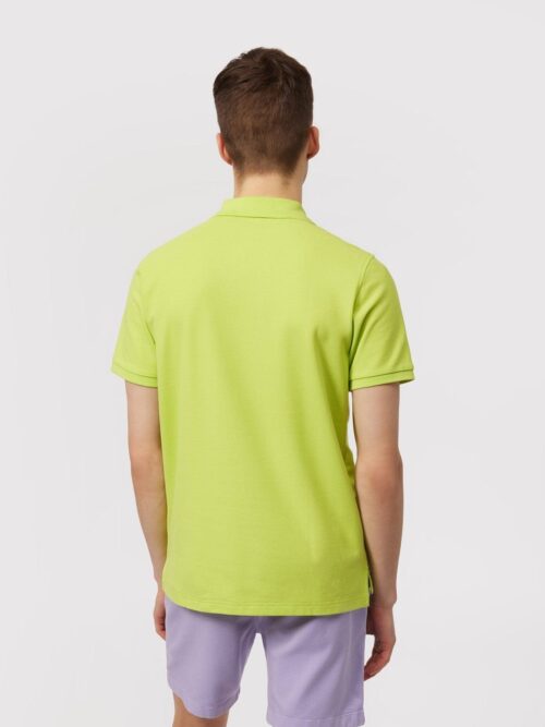 VERDE LIMA PSYCHO BUNNY - Golden Wear Colombia